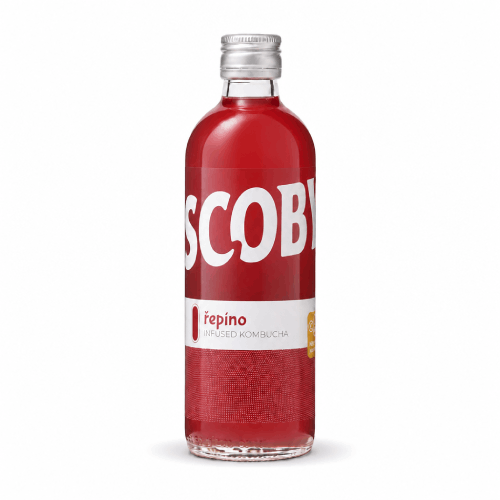 řepa pomeranč scoby kombucha