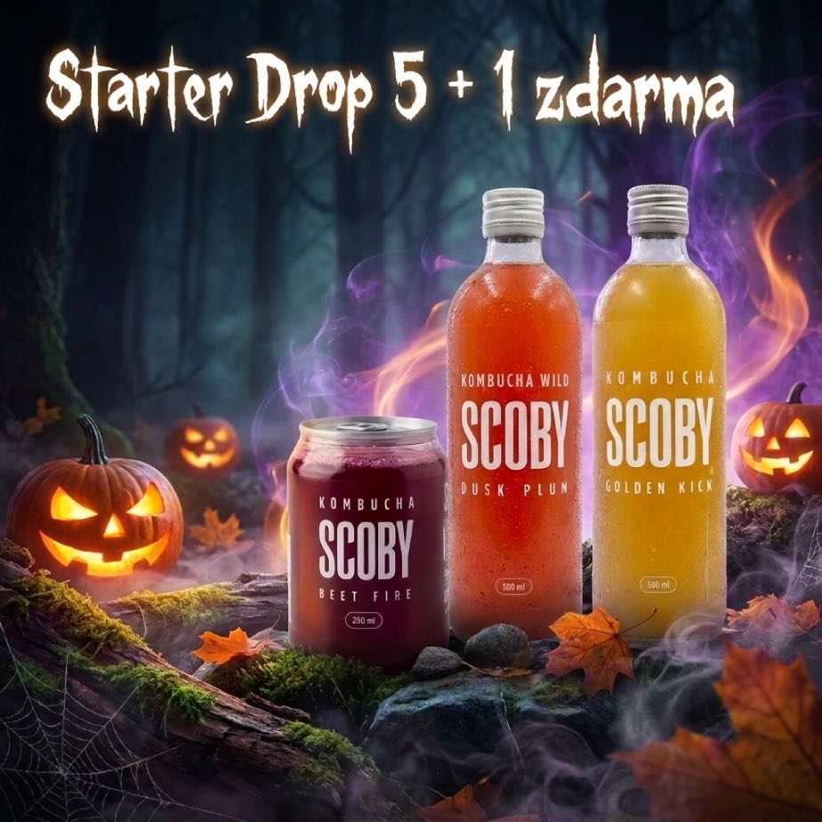 kombucha 5 + 1 zdarma
