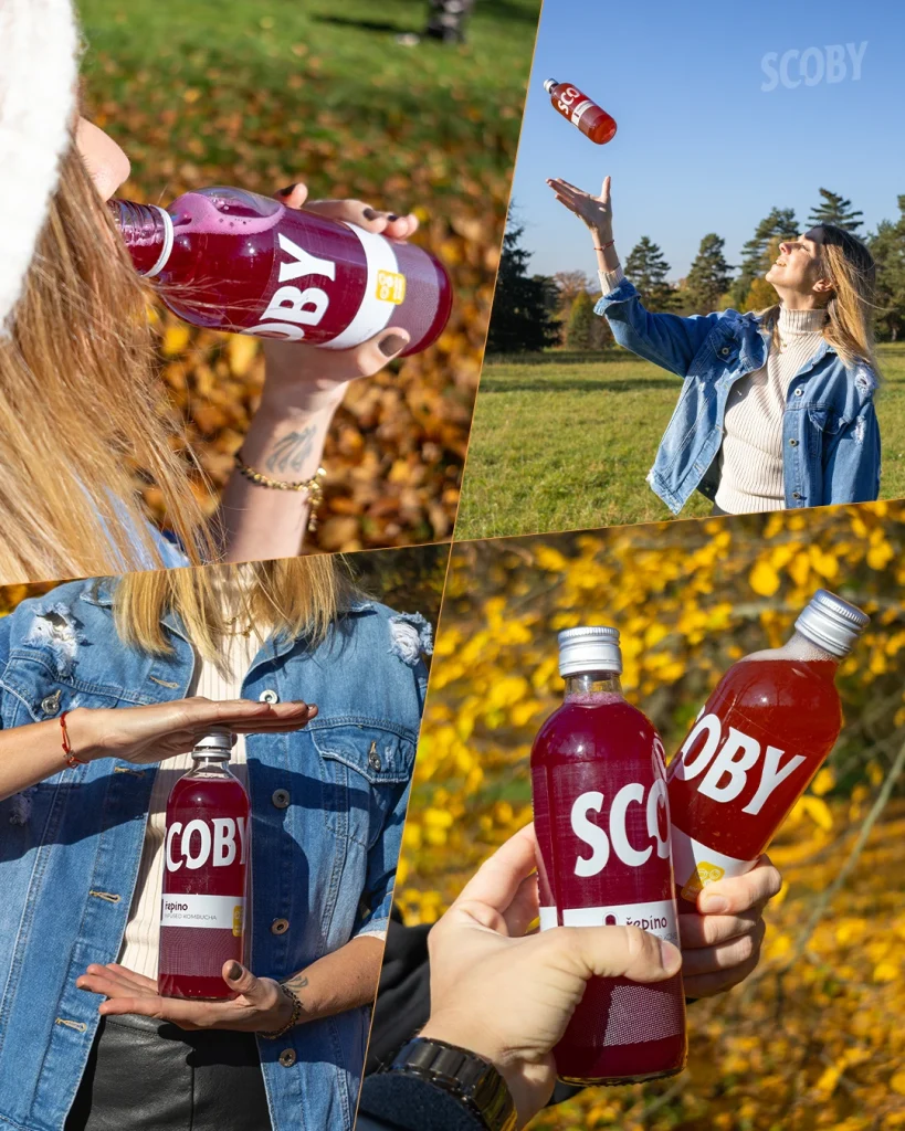 Kombucha na podzim