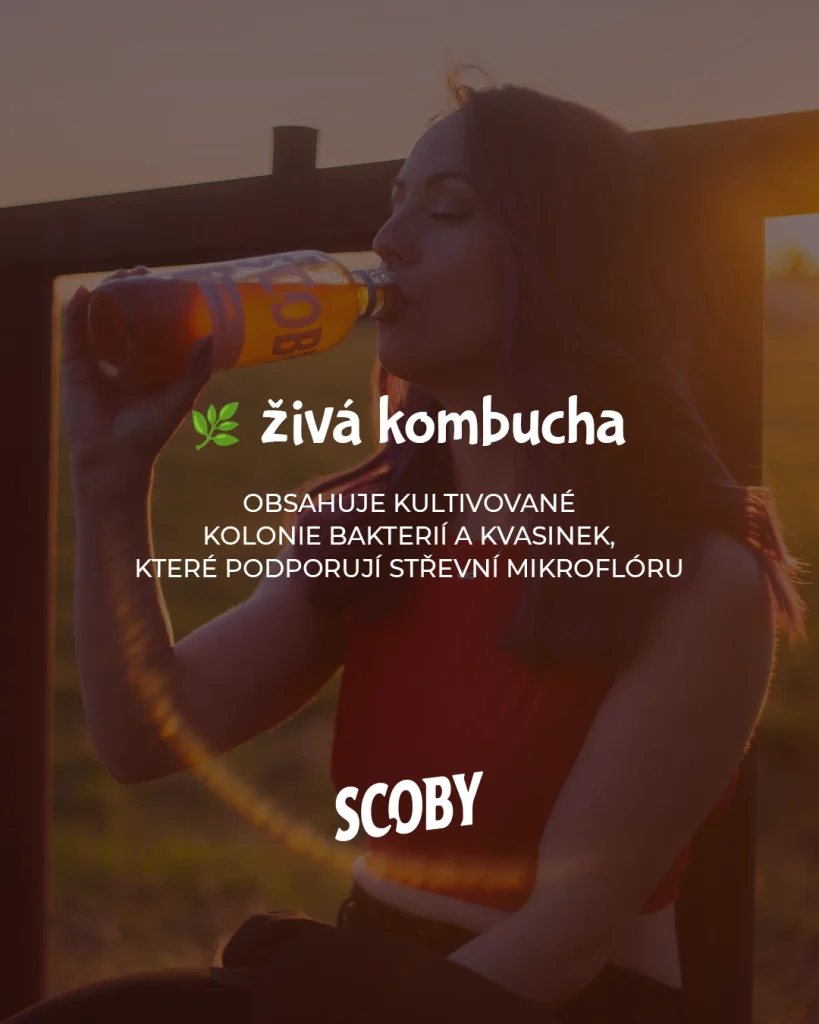 Kombucha obsahuje aktivní enzymy
