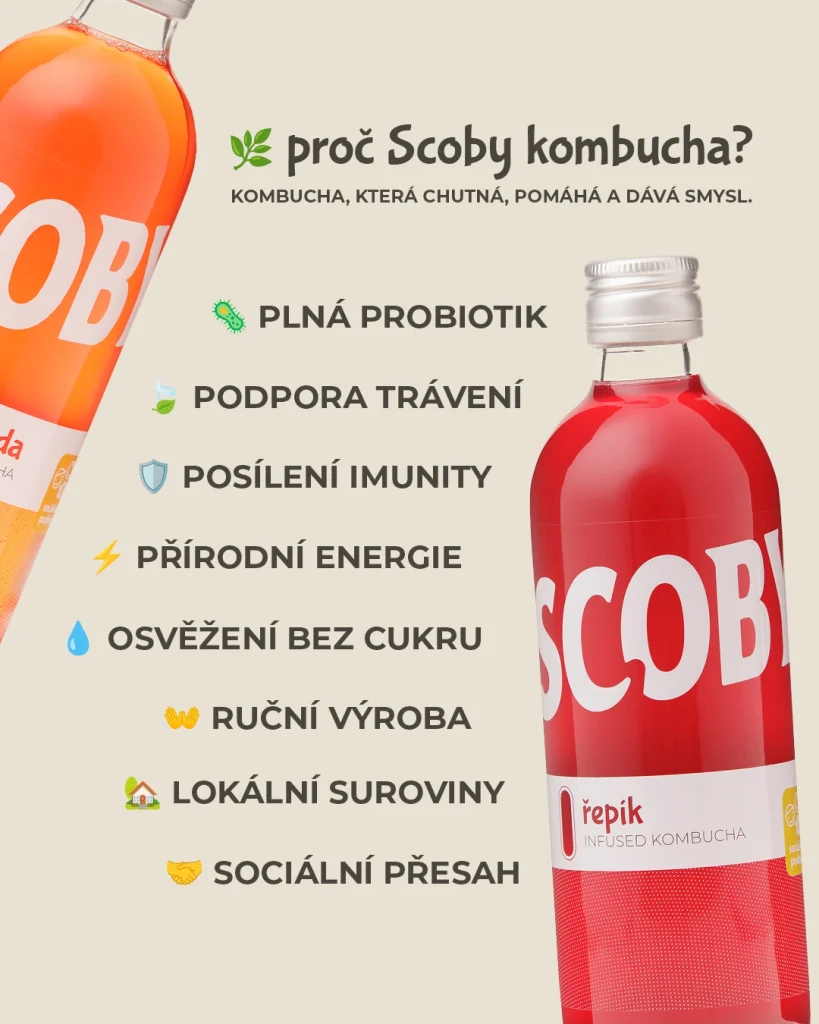 Proč si vybrat Scoby kombuchu