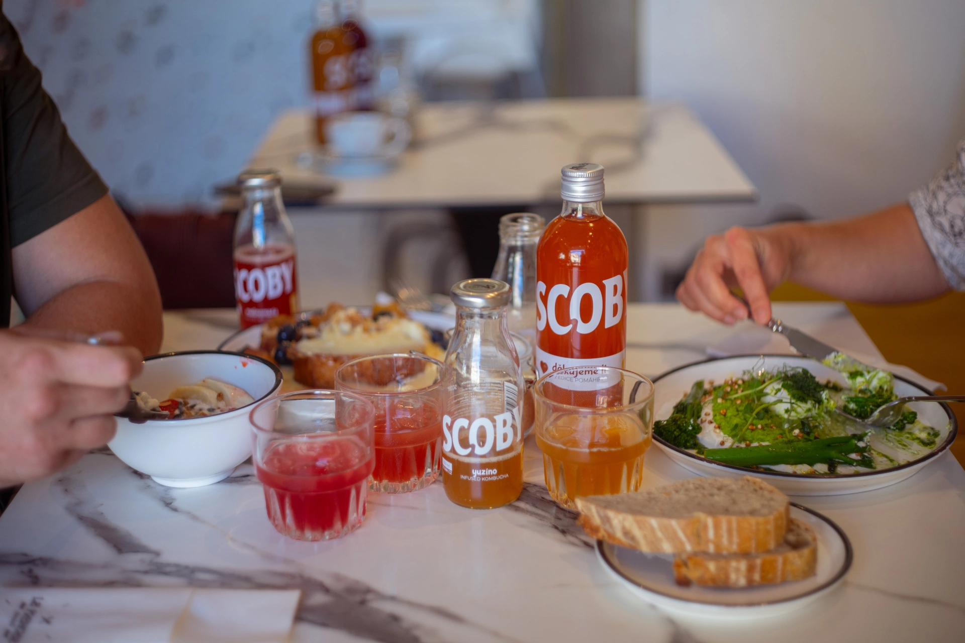 Problémy s trávením vyřeší Scoby kombucha