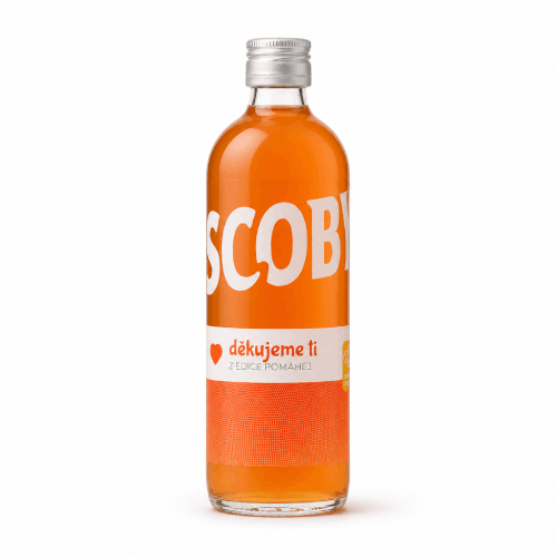 cascara scoby kombucha